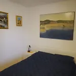 Apartment Mladen *
