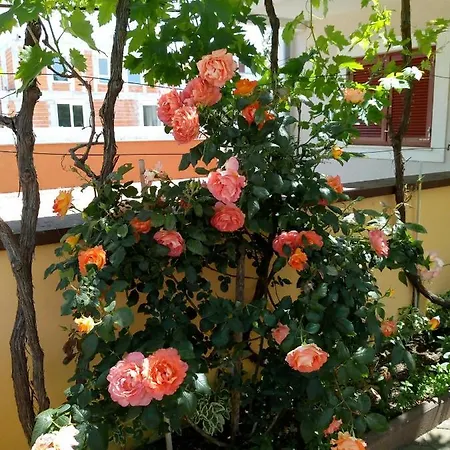 Mladen Apartament *