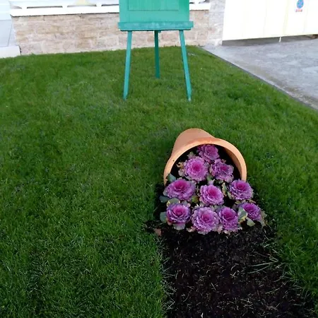 Mladen Lejlighed Vodice