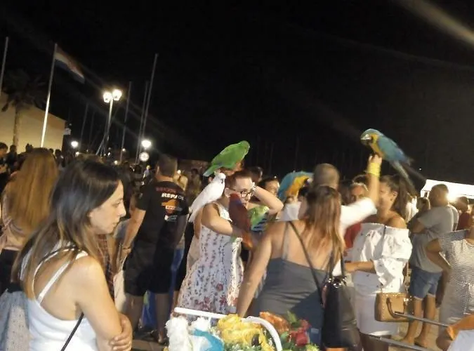 Appartement Mladen *