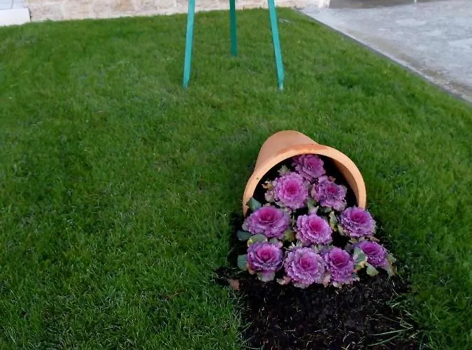 Mladen Apartamento Vodice