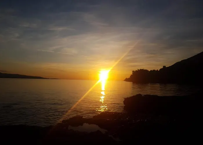 Appartement Mladen *